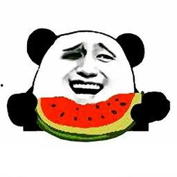 全网蹲守吃瓜免费txt书包网  第1张